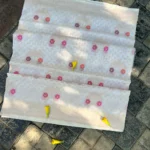 'SHWETAMBARI' PURE COTTON JAMDANI BANARASI SAREE