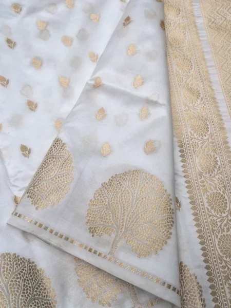 PURE BANARASI MANGO SILK SAREE