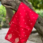 PURE BANARASI MANGO SILK SAREE