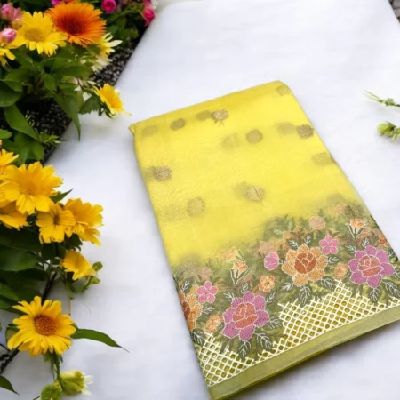 Handwoven kora chikankari banarasi saree