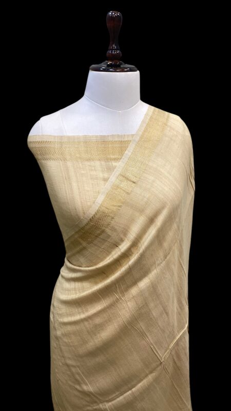 Pure tussar silk handloom banarasi saree