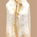 Pure khaddi georgette handloom banarasi dupatta